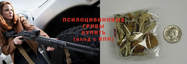 не бодяженный Надым