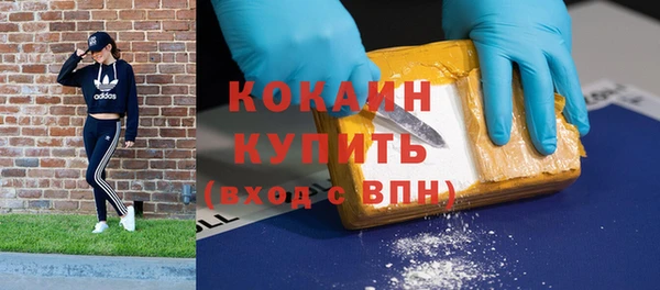 прущие грибы Фурманов