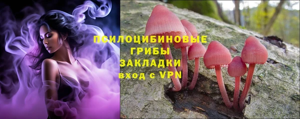 не бодяженный Надым