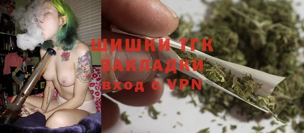 прущие грибы Фурманов