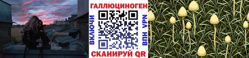 нарко площадка состав Альметьевск Галлюциногенные грибы GOLDEN TEACHER